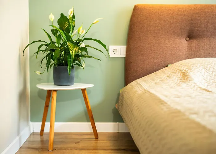 Апартаменты Comfort - 2 Bedroom